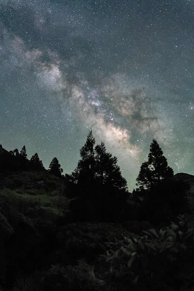 Celestial Beauty